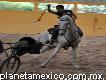 Clases De Equitación, Rejoneo Y Toreo A Pie, Escuela Y Caballos De Rejoneo Arturo Ruiz Loredo