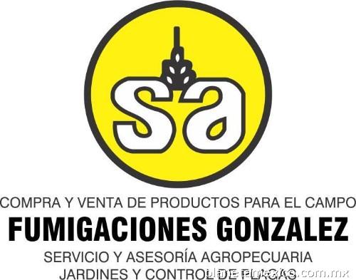 Fumigaciones González: teléfono - Costa Rica #1412, Vallarta