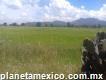 Terreno de 125, 960 m2 San Antonio Coayuca municipio de Axapusco Estado de México a pie de carretera