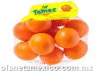 Distribuidora De Naranjas Tamez Allende Nl