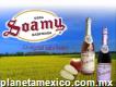 Sidra Soamy En Puebla