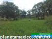 Terreno en Tzucacab Yucatán 348 hectáreas
