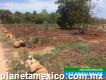 Terreno en Ticul Yucatán 360 hectáreas