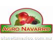 Agro Navarro venta de fresa, mango y más