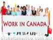 Viaje y trabaje en el exterior en Canadá con Atlántica Hotel Necesidad de trabajadores urgentes en Canadá
