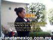 Servicio De Meseros Cdmx Y Estado De México