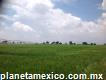 Rancho En Venta 260 Has Huamantla, Tlaxcala