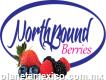 Northbound Berries