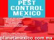 Control De Plagas Pest Control México