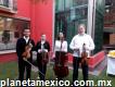 Cuarteto de cuerdas Zitácuaro