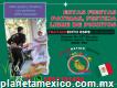 Clínica D' Pelitos Kids Pediculosis Texcoco Acaba con los piojos