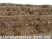 Venta de pacas de Zacate de maíz en Toluca 90 c/u