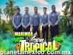 Marimba Son Tropical al 55-2969-3083