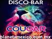 Disco- Bar Cougar