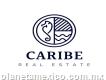 Caribe Real Estate