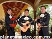 Trío para serenatas en Jiutepec Morelos