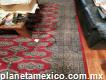 Limpieza y Restauración Tapetes Orientales