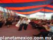Cantante para fiestas versátil en cuautitlán izcalli