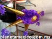 Piñatas Sofilu Puebla