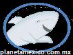 Imegalodon México