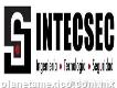 Intecsec (ingeniería, tecnología y seguridad)