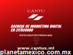 Agencia de marketing digital cantux