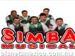 Simba Musical Whatsapp 55-65-09-16-40