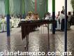 Marimbas en Coacalco 5511291032