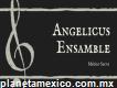 Música para misa Angelicus Ensamble Atlacomulco