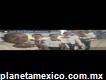 Mariachi Emperadores De Teotihuacán