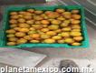 Vendo naranjas Marss, Mandarinas y Valencia