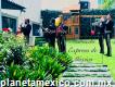 Mariachis en Cuauhtémoc colonia Morelos cdmx 24 hr