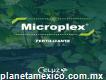 Microplex (producto para el campo)